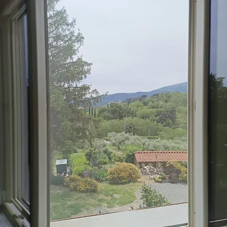 Domus Mazzoni 3* Capannori